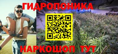 гидропоника Гусев